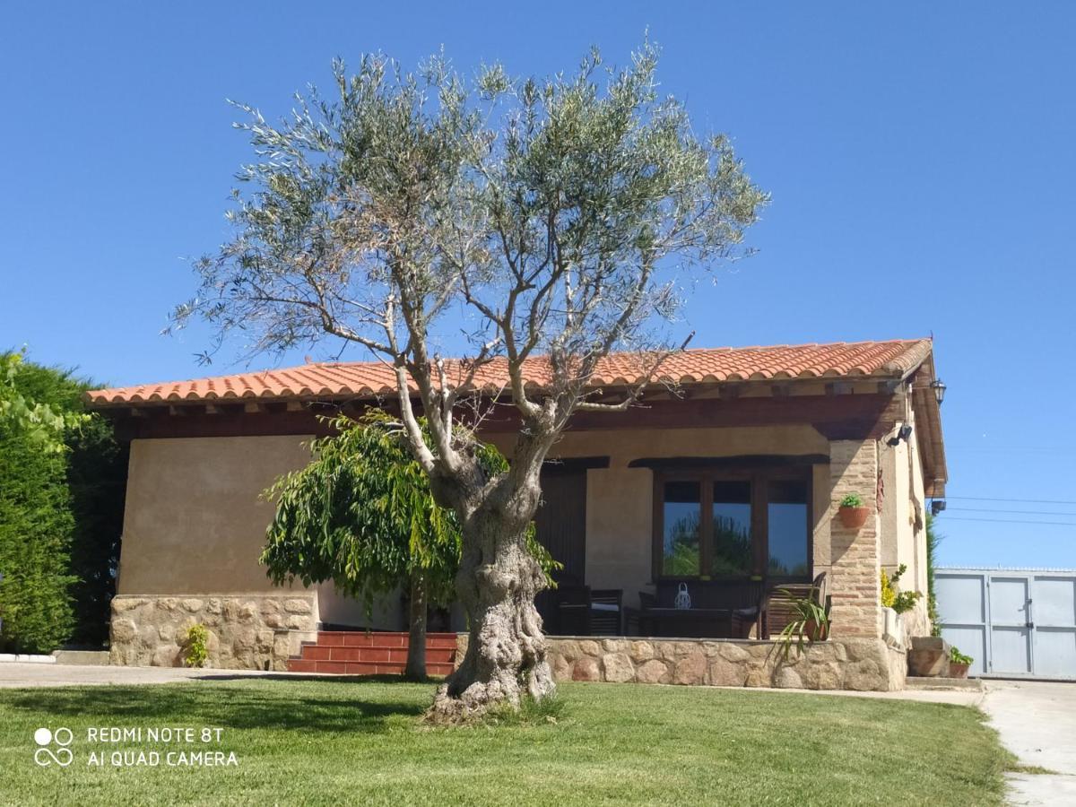 فيلا Refugio Con Casitas Infantiles ثامورا المظهر الخارجي الصورة